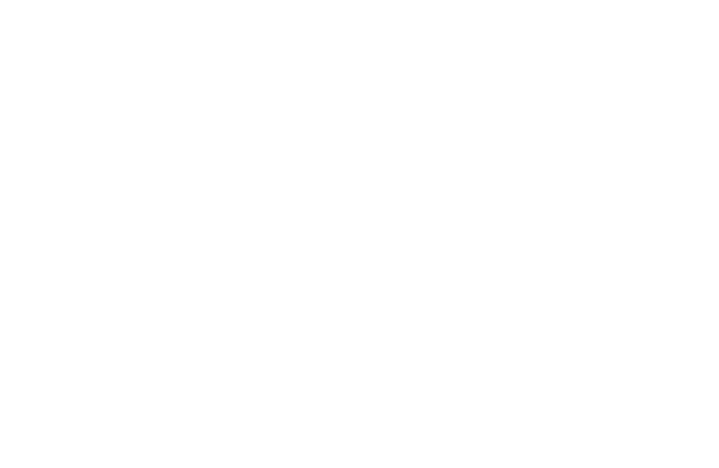 The Voice